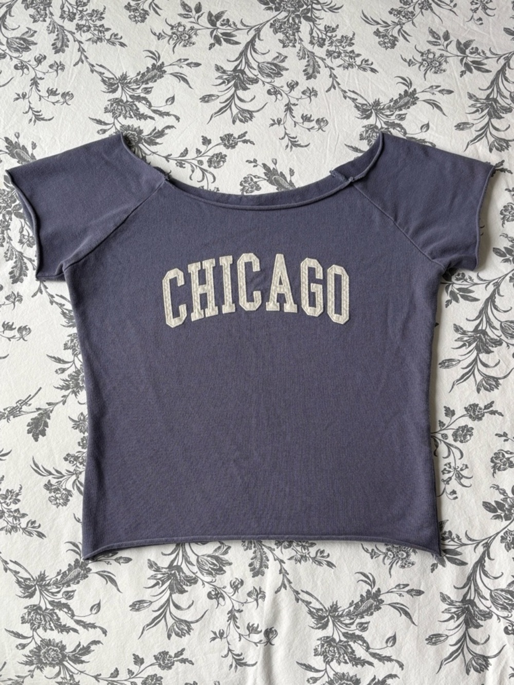 NWOT! Brandy Melville Bonnie Chicago Top